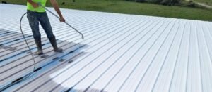 Why Roof Painting Experts Are Essential for Protecting Your Property